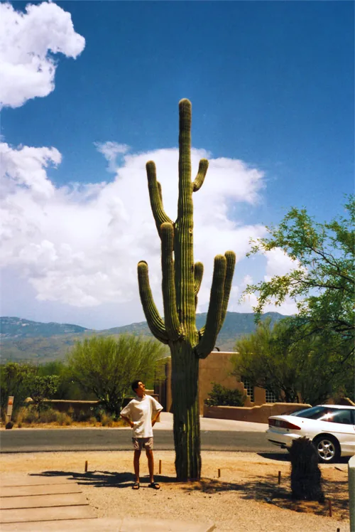 Arizona, Tucson